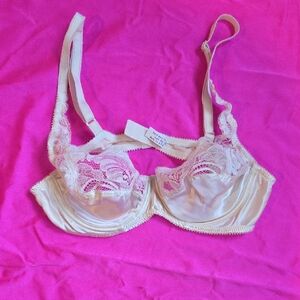 Ria Pure Silk Elegant Cream Lace Bra